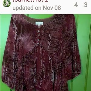 Velvet Blouse